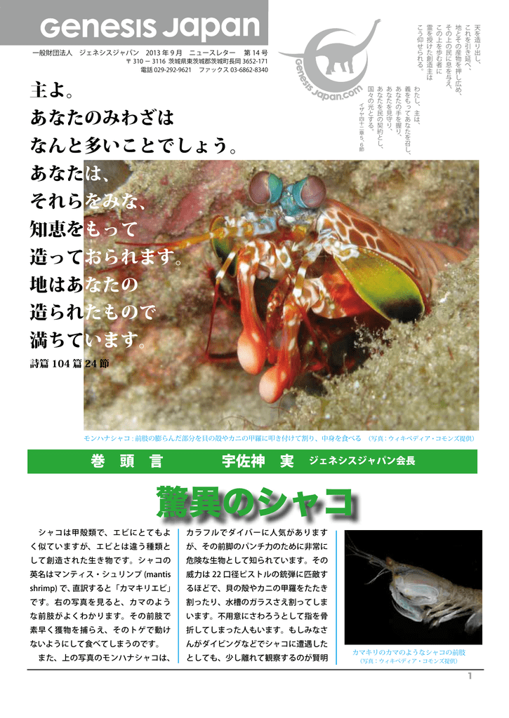 驚異のシャコ ジェネシスジャパン 創造論研究会 驚異のシャコ ジェネシスジャパン 創造論研究会
