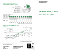 BRIDGESTONE DATA 2012 （937KB）