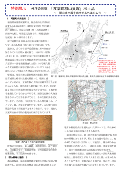郡山貝塚特別展示解説（PDF：455KB）