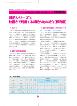 緑肥シリーズ! 秋播きで利用する緑肥作物の紹介