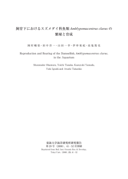 飼育下におけるスズメダイ科魚類