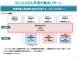 らいふぷらん年金の拠出パターン