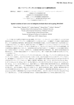 東シベリアインディギルカ川低地における積雪空間分布 Spatial variation