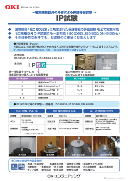 IP試験 - OKI