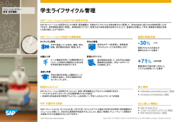 Solution Summary Template for LoB / Technology