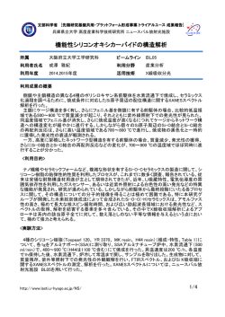 機能性シリコンオキシカーバイドの構造解析