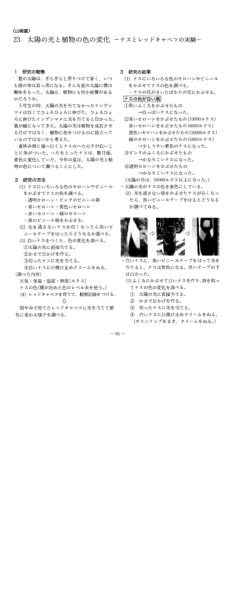 23 太陽の光と植物の色の変化 一