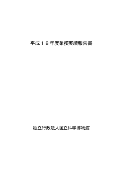 平成18年度業務実績報告書