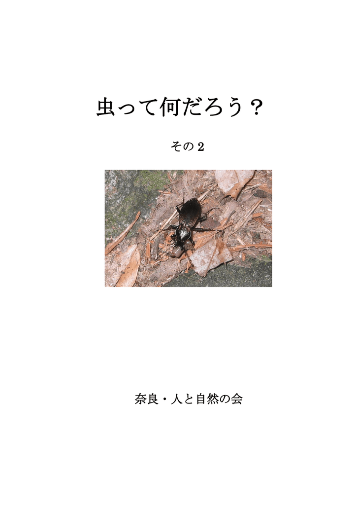 虫って何だろう 奈良 人と自然の会