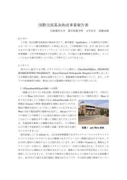 PDFダウンロード