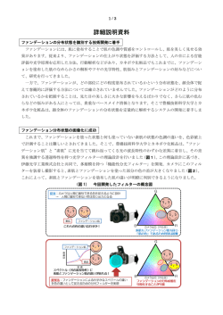 こちら（PDF） - 豊橋技術科学大学