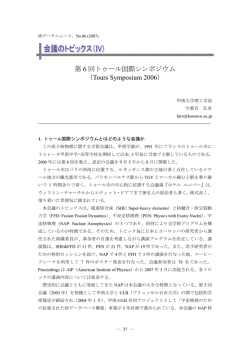 第 6 回トゥール国際シンポジウム （Tours Symposium 2006）
