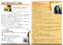 English Lesson Flyer