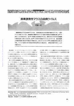 蛋白質核酸酵素:麻痺誘発性マウス白血病ウイルス