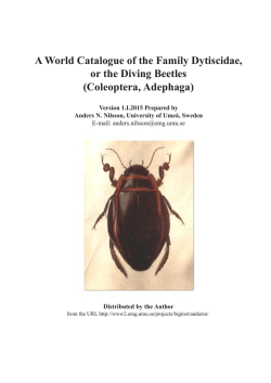 Coleoptera, Adephaga