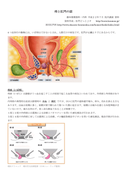 痔と肛門の話 - 藤本循環器科内科