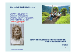 配布資料（PDF） - エネルギー問題に発言する会
