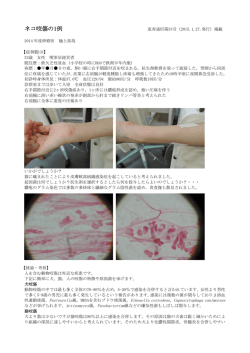 (2015.2.27.発行) ネコ咬傷の1例 2014年度研修医 樋上拓哉