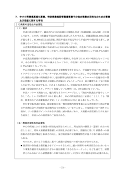 特定商業施設等整備事業その他の商業の活性化のための事