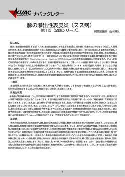 ナバックレター第24号
