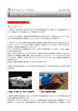 Mr.サトーのインド通信