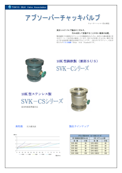 アブソーバーチャッキバルブ 紹介チラシ