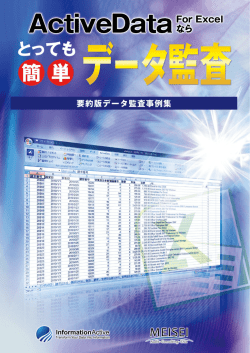 ActiveData For Excelなら とっても簡単データ監査（PDF形式、4.7MB）