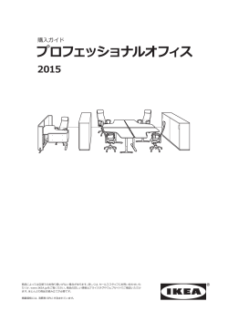 プロフェッショナルオフィス 購入ガイド