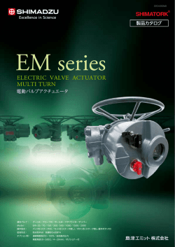 ELECTRIC VALVE ACTUATOR MULTI TURN