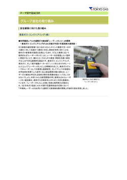 PDF：310KB