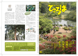 緑と水のひろば 63号（PDF）