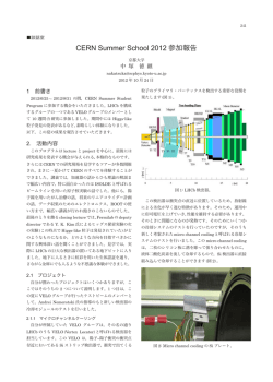CERN Summer School 2012 参加報告