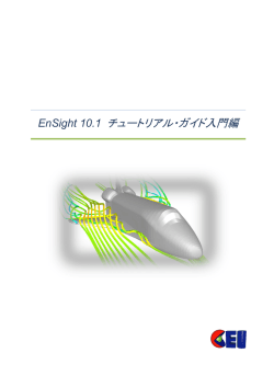 EnSight 10.1 チュートリアル・ガイド入門編