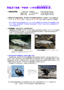 平成27年度やまめ放流体験資料B1