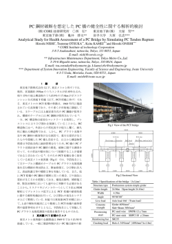 PC 鋼材破断を想定した PC 橋の健全性に関する