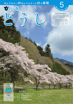 PDFファイルを表示