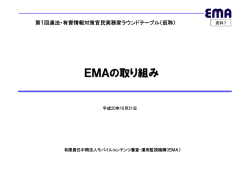 EMAの取り組み - 内閣官房 インターネット上の違法・有害情報対策