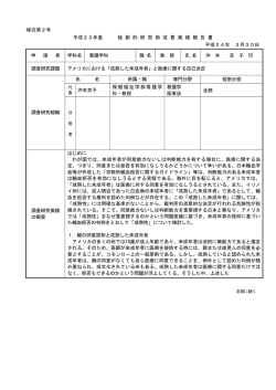 様式第2号 平成23年度 独 創 的 研 究 助 成 費 実 績 報 告 書 平成24