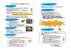アシナガバチと共生しよう