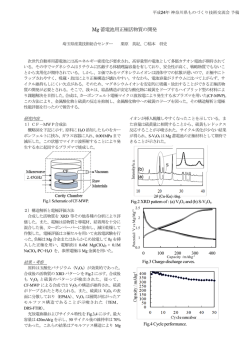 Mg 蓄電池用正極活物質の開発
