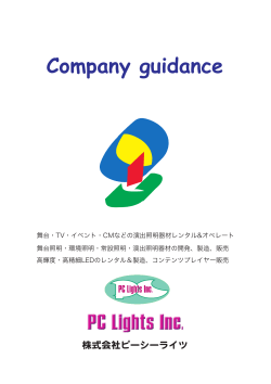 Company guidance