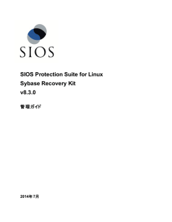Sybase ASE Recovery Kit