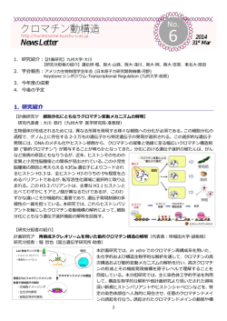 News Letter No.6 - 動的クロマチン構造と機能