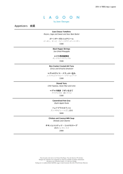 CARTE lagoon janv2014 japonnais