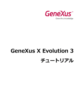 GeneXus X Evolution 3 チュートリアル