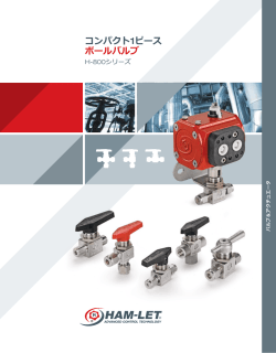 H800 コンパクトワンピース ボールバルブ