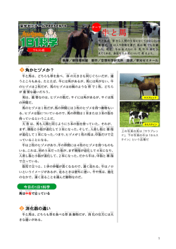 牛と馬 - 栄光ゼミナール