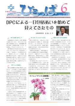 DPCによる一日包括払いを始めて 見えてきたもの