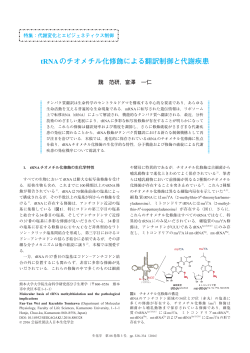 tRNAのチオメチル化修飾による翻訳制御と代謝疾患 - 生化学