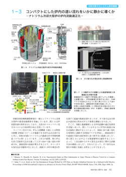 印刷用PDFファイル - 国立研究開発法人日本原子力研究開発機構